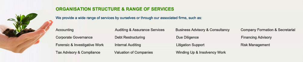 Organisation Structure & Range Of Services